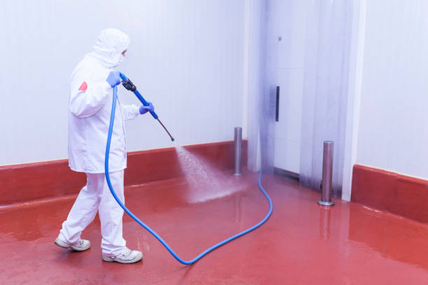 Best Soft Washing  in Hampshire, IL